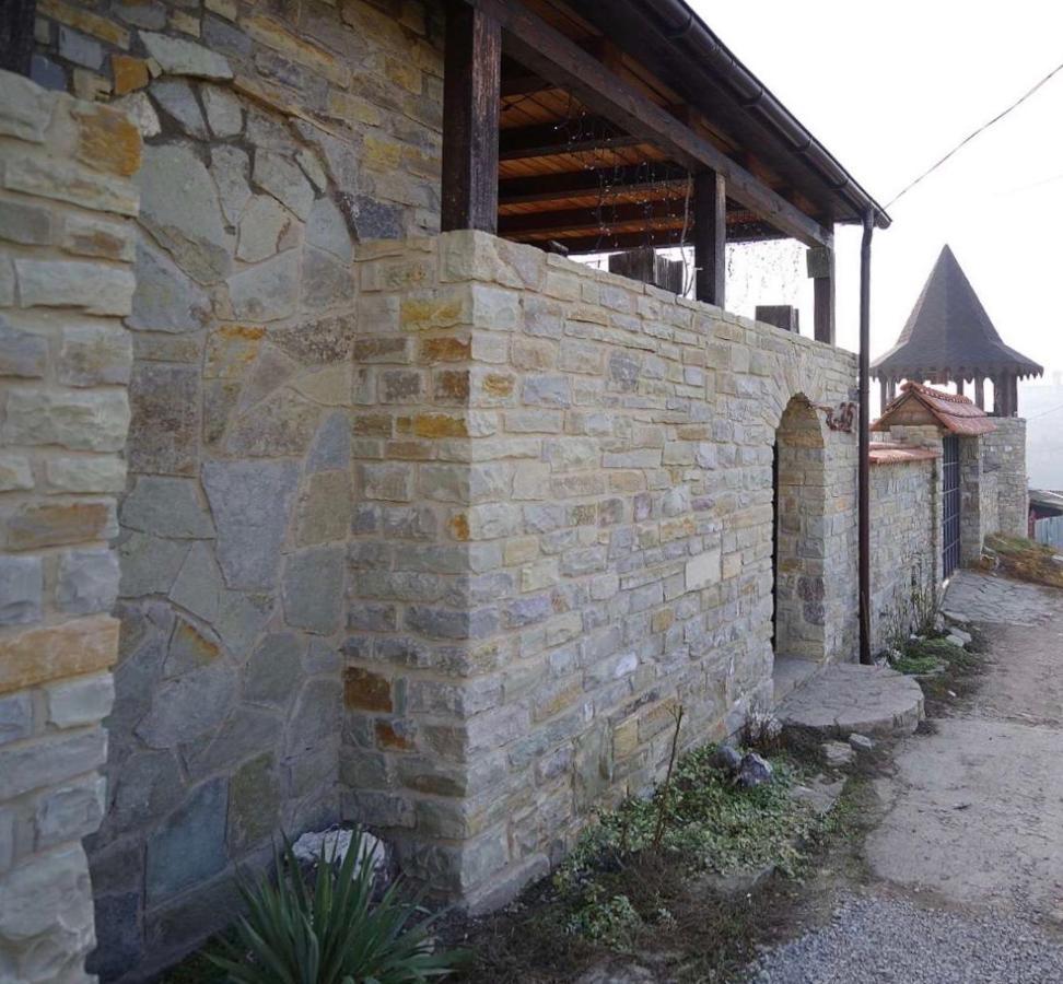 Nazar Stodolya Hotel Camenița Exterior foto